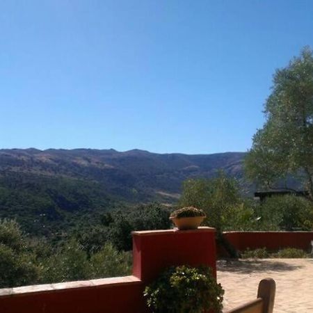 Villa Carmen Magnificent Country House In Serrania รอนดา ภายนอก รูปภาพ