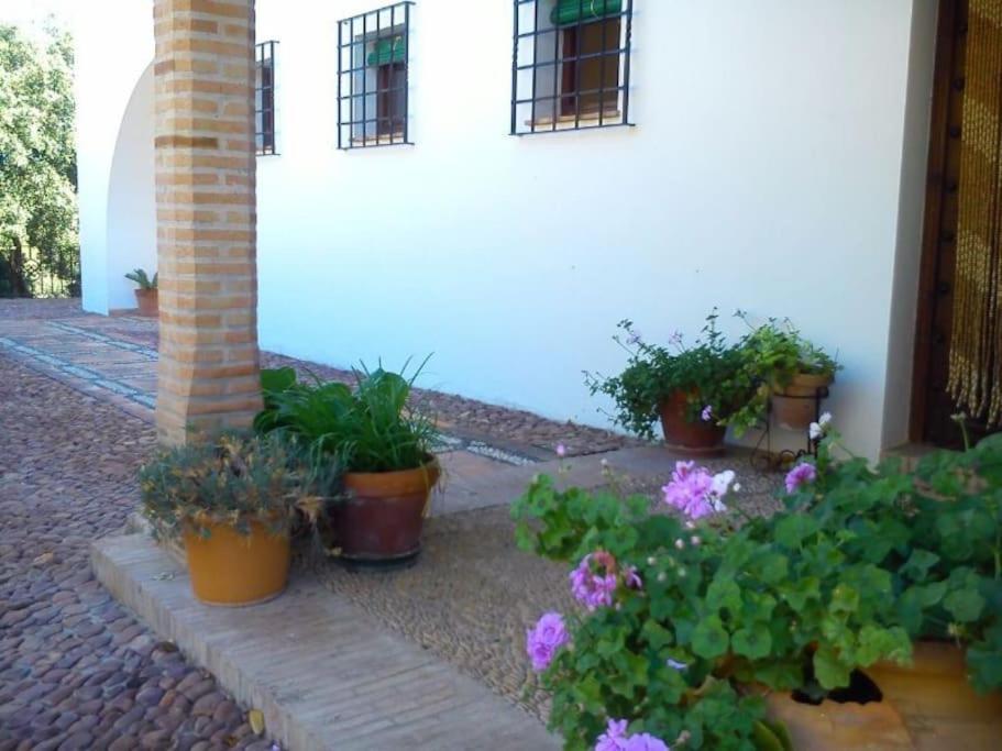 Villa Carmen Magnificent Country House In Serrania รอนดา ภายนอก รูปภาพ