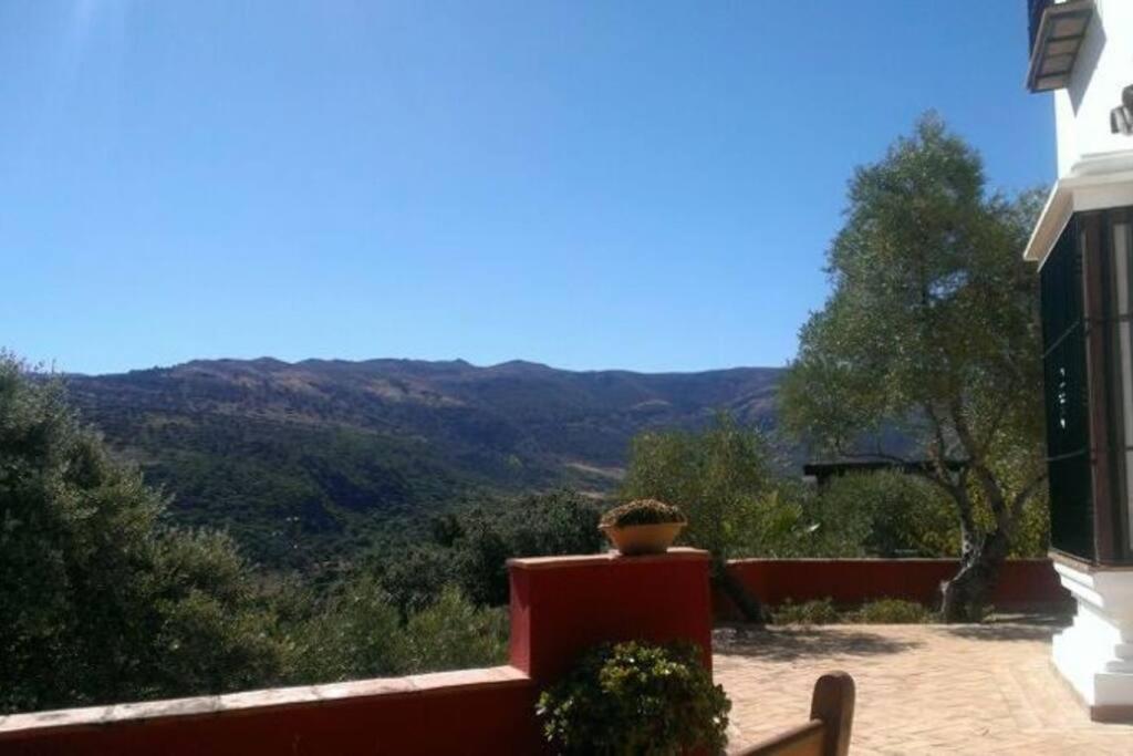 Villa Carmen Magnificent Country House In Serrania รอนดา ภายนอก รูปภาพ