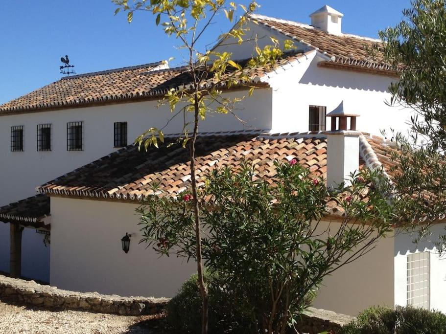 Villa Carmen Magnificent Country House In Serrania รอนดา ภายนอก รูปภาพ