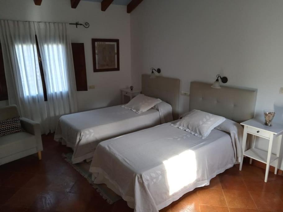 Villa Carmen Magnificent Country House In Serrania รอนดา ภายนอก รูปภาพ